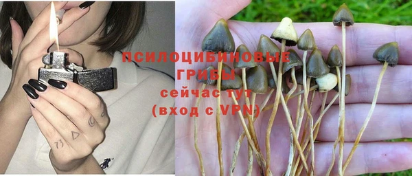 ешки Кинешма