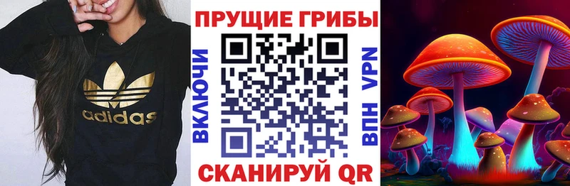 Галлюциногенные грибы Magic Shrooms  цены наркотик  Балашиха 