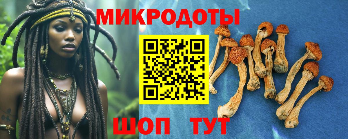 Галлюциногенные грибы GOLDEN TEACHER Балашиха